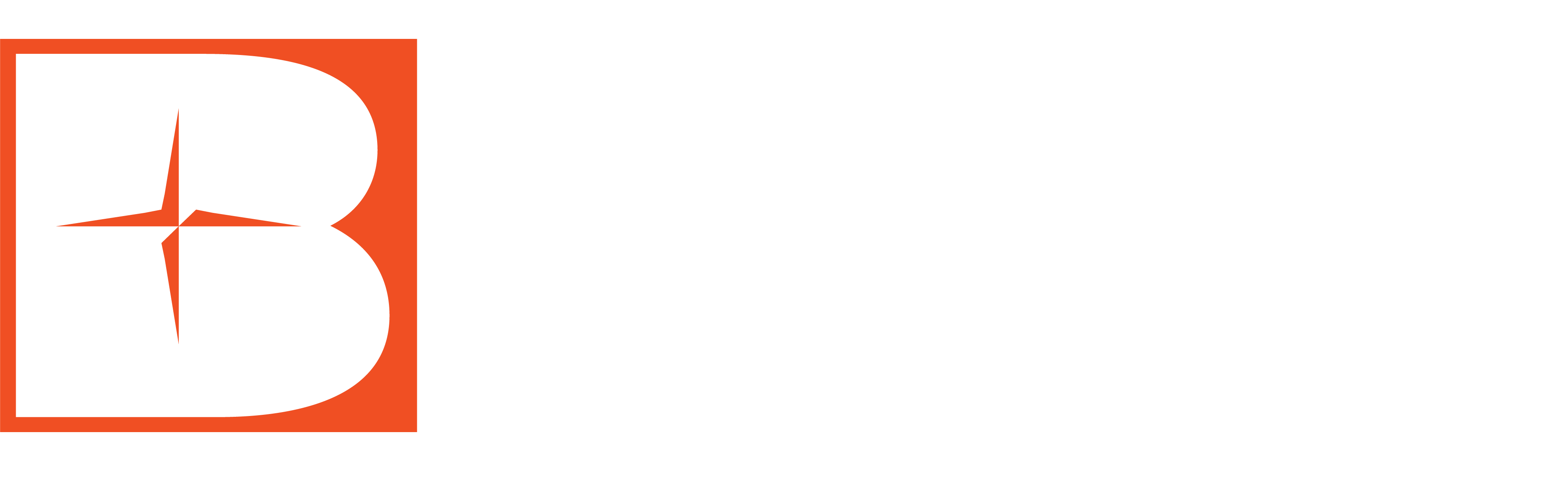 Bems Consult logo